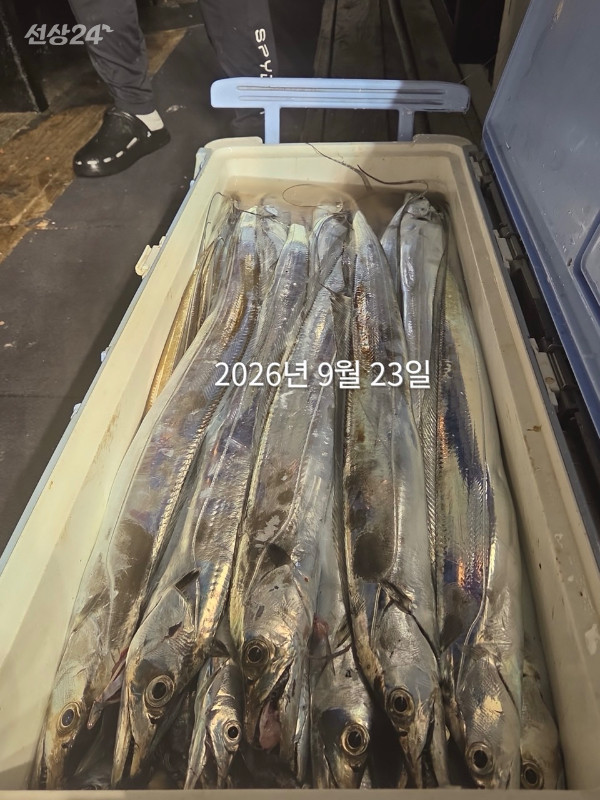 E2896291-41DA-4F2E-A903-6CCBC7937F37.jpeg