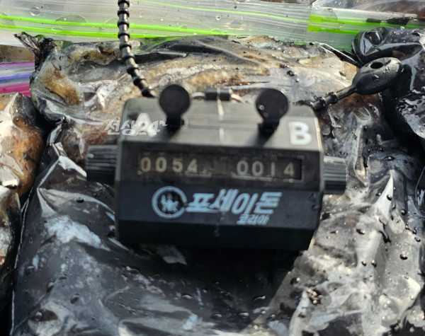 1000061041.jpg