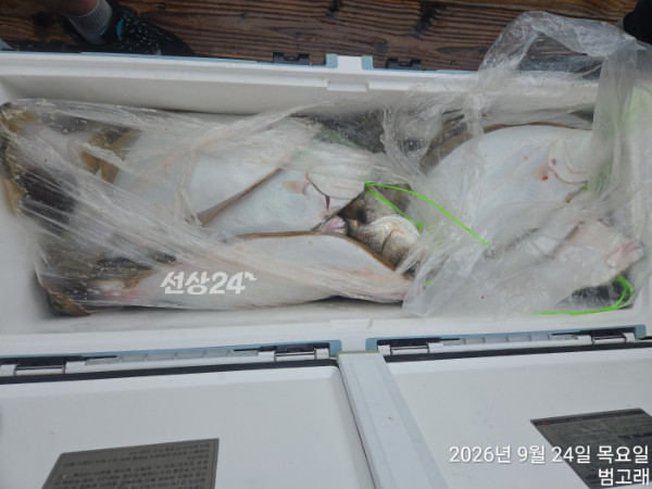 KakaoTalk_20260924_150106870_04.jpg