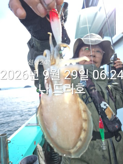 KakaoTalk_20260929_073419152_02.jpg