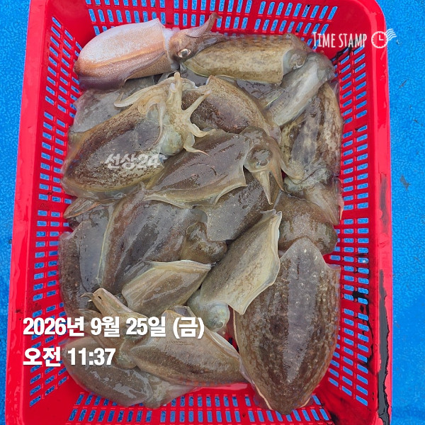 KakaoTalk_20260925_210425992_05.jpg