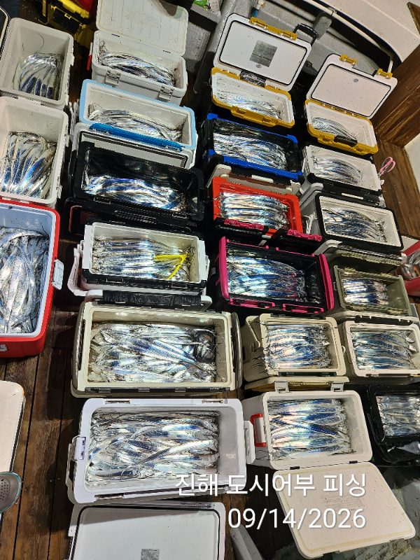 KakaoTalk_20260914_045414421_12.jpg