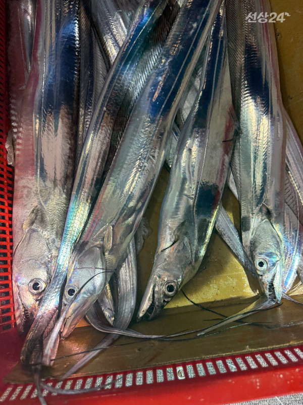 1000083333.jpg