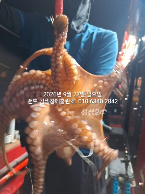 1000026083.jpg