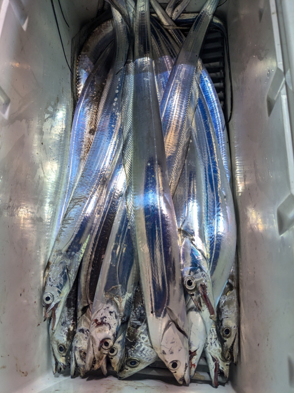 814FD09B-1016-48DF-9843-A2A5A3072AB1.jpeg