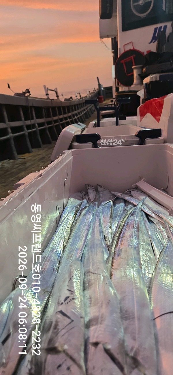 1790204148319.jpg