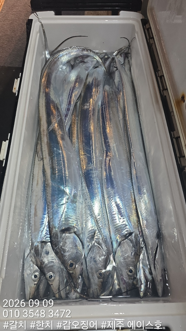 KakaoTalk_20260909_110440894_08.jpg