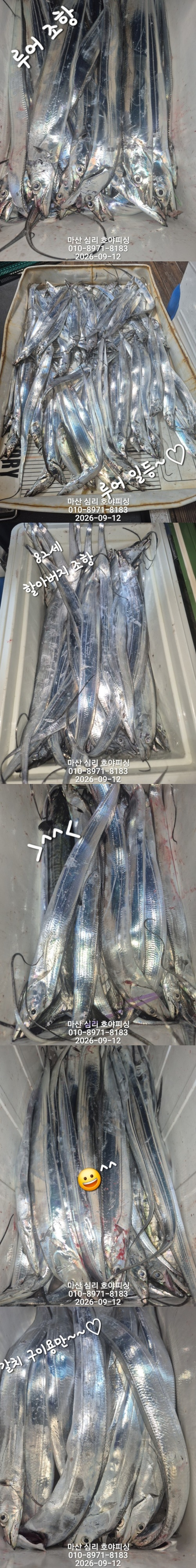 9월11일2호.jpg