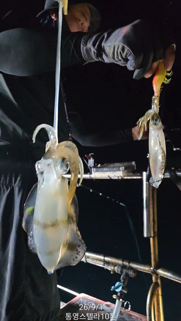 TimeVideo_20260901_201519.jpg