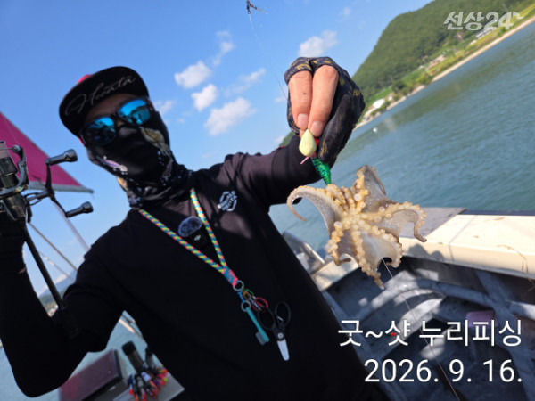 95198.jpg