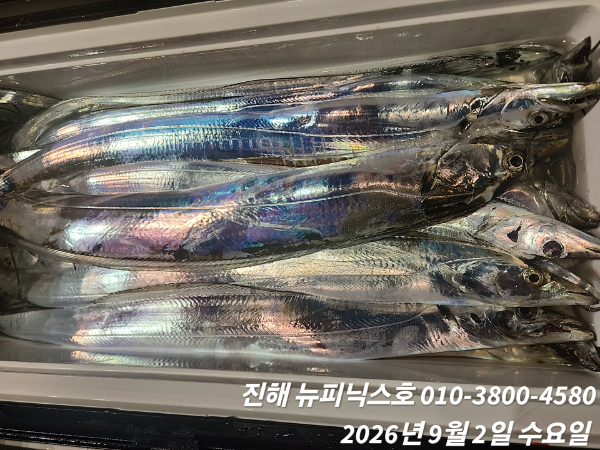1000099045.jpg