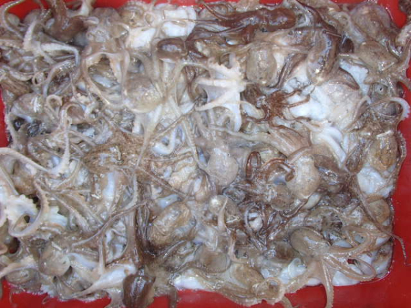 118.JPG