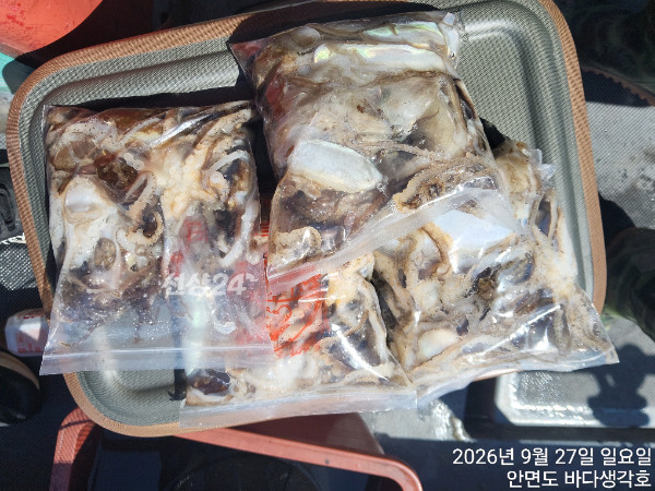 KakaoTalk_20260927_190516957_03.jpg