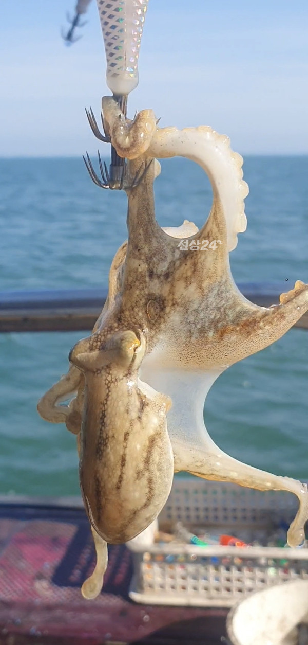 Screenshot_20260927_134256_Video Player.jpg