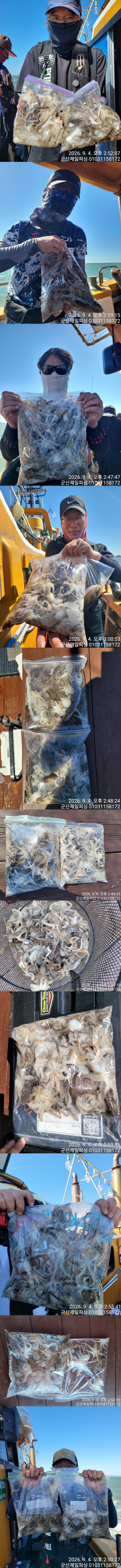 0904제일팩조황다시.jpg