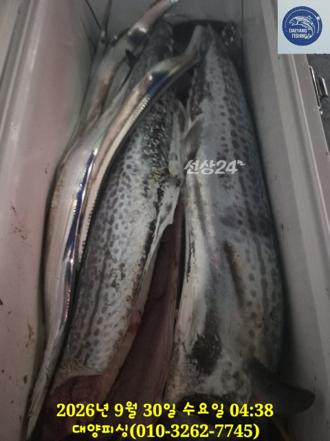 15583.jpg