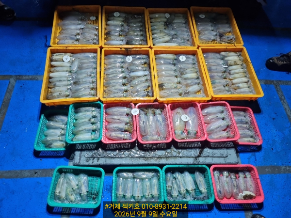 a9b70a9b-44a4-40e9-b7ca-3bcaf528db05-1_all_24393.jpg