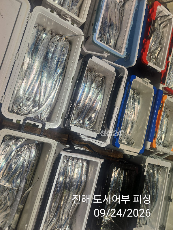 KakaoTalk_20260924_050456578_11.jpg