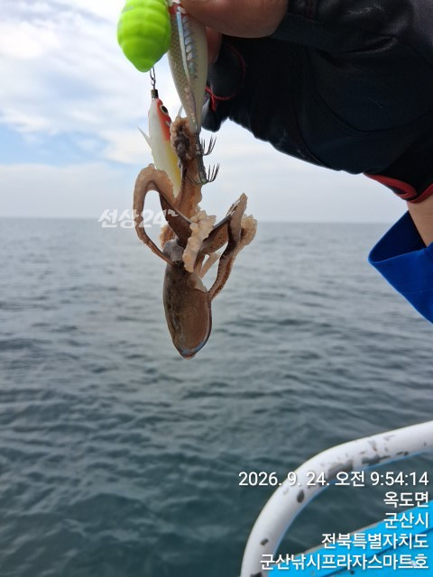 KakaoTalk_20260924_095936879.jpg