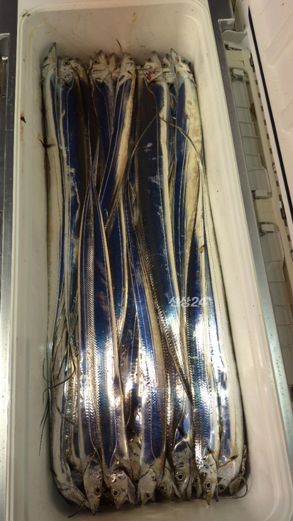 1004피싱_사진_20260929_24.jpg