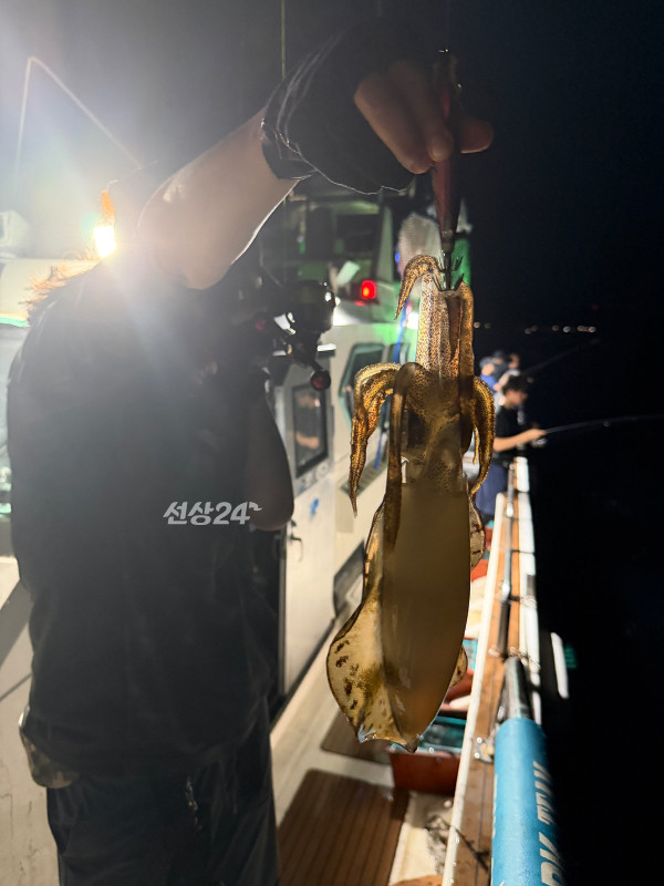 IMG_0970.jpeg