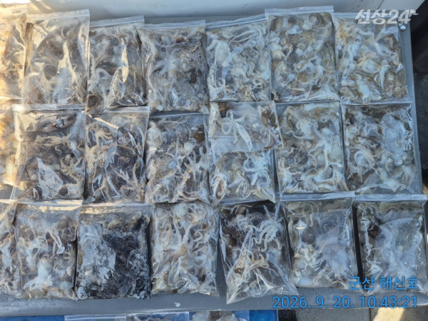 군산해신호_사진_20260920_2.jpg