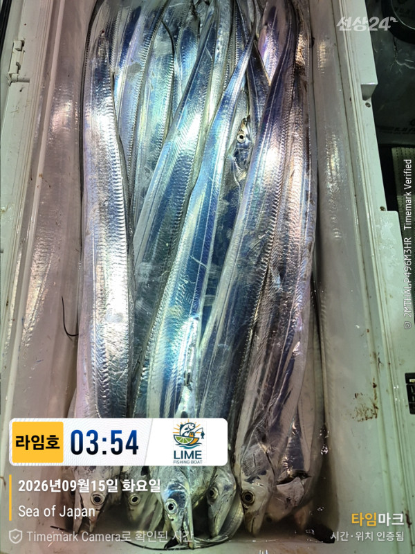 KakaoTalk_20260915_093243157.jpg