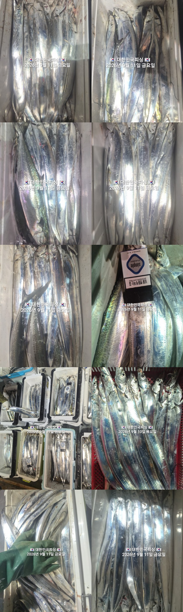 갈치2.jpg