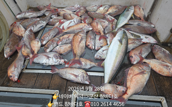 1000005430.jpg