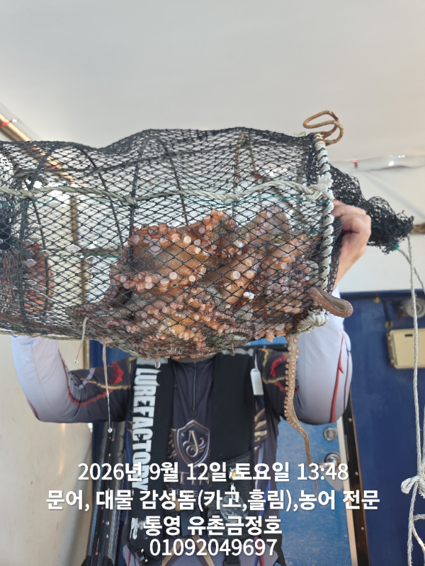 1000060461.jpg