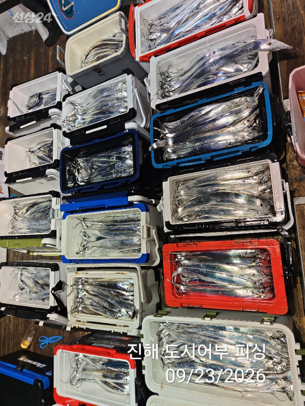 KakaoTalk_20260923_062051575_08.jpg