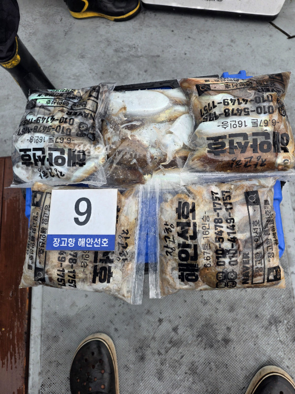 KakaoTalk_20260925_171817951_01.jpg