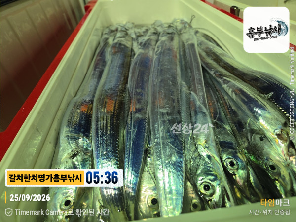 2026-09-25 05.36.54__(제목-갈치한치명가흥부낚시).jpg