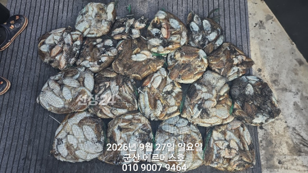 1000045767.jpg