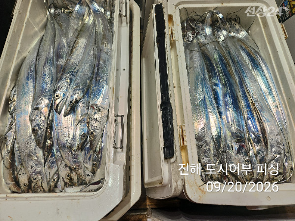 KakaoTalk_20260920_052035482_16.jpg
