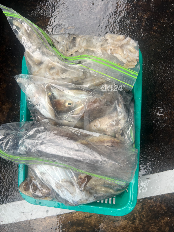 KakaoTalk_20260924_172314773_06.jpg