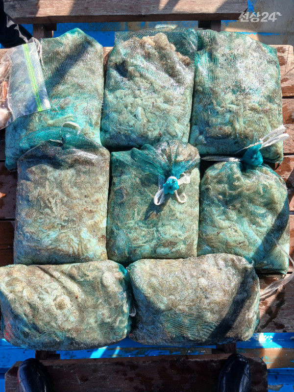 529.jpg
