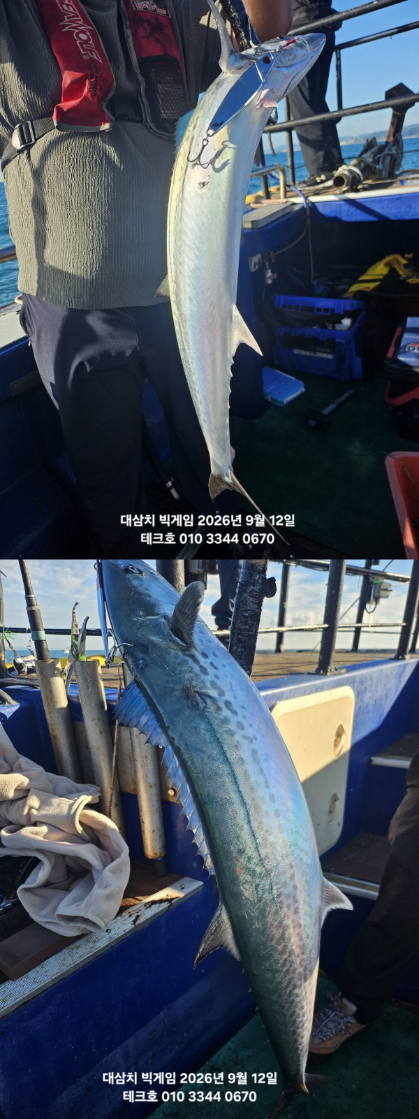 KakaoTalk_20260912_092407295_05-vert.jpg