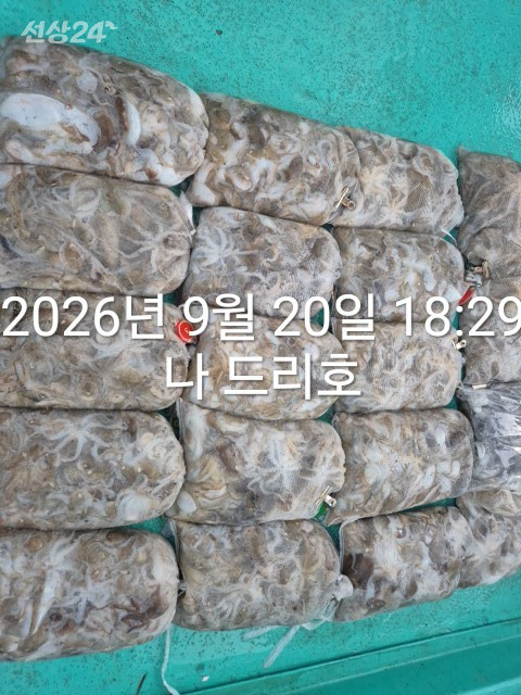 KakaoTalk_20260920_192144674_04.jpg