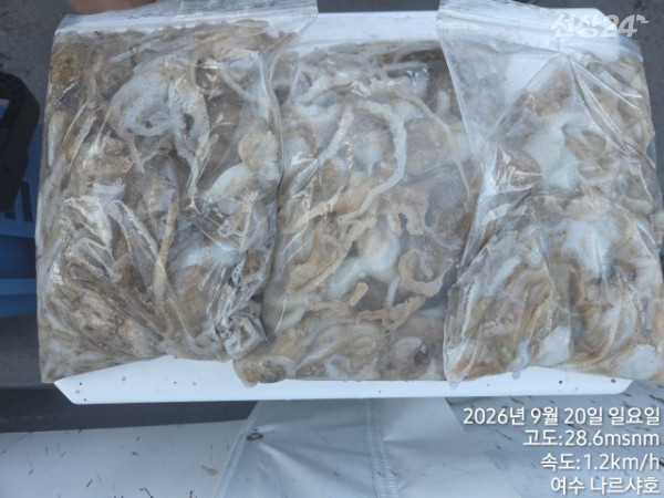 10687.jpg