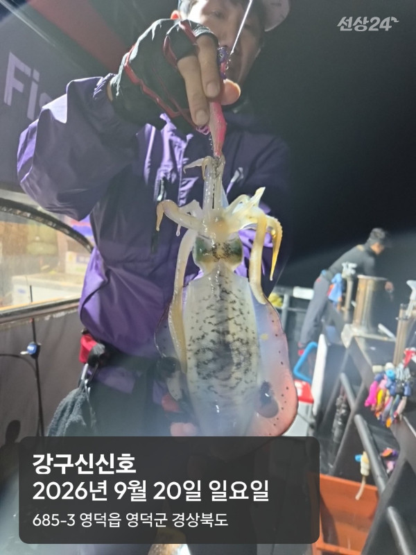 신신낚시 강구점 신신호_사진_20260921_12.jpg