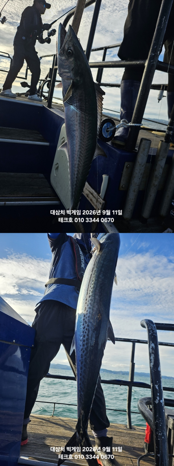 KakaoTalk_20260911_172606921_01-vert.jpg