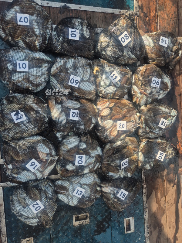 1790410604708.jpg