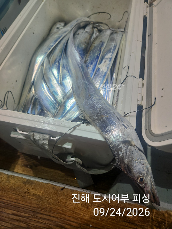 KakaoTalk_20260924_050456578_14.jpg