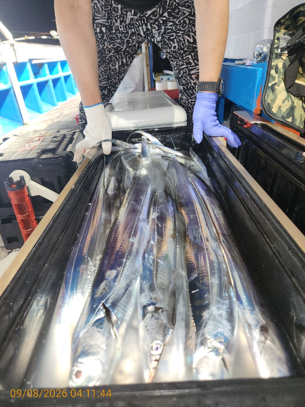 971.jpg