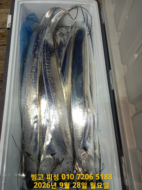 KakaoTalk_20260928_115813965_06.jpg
