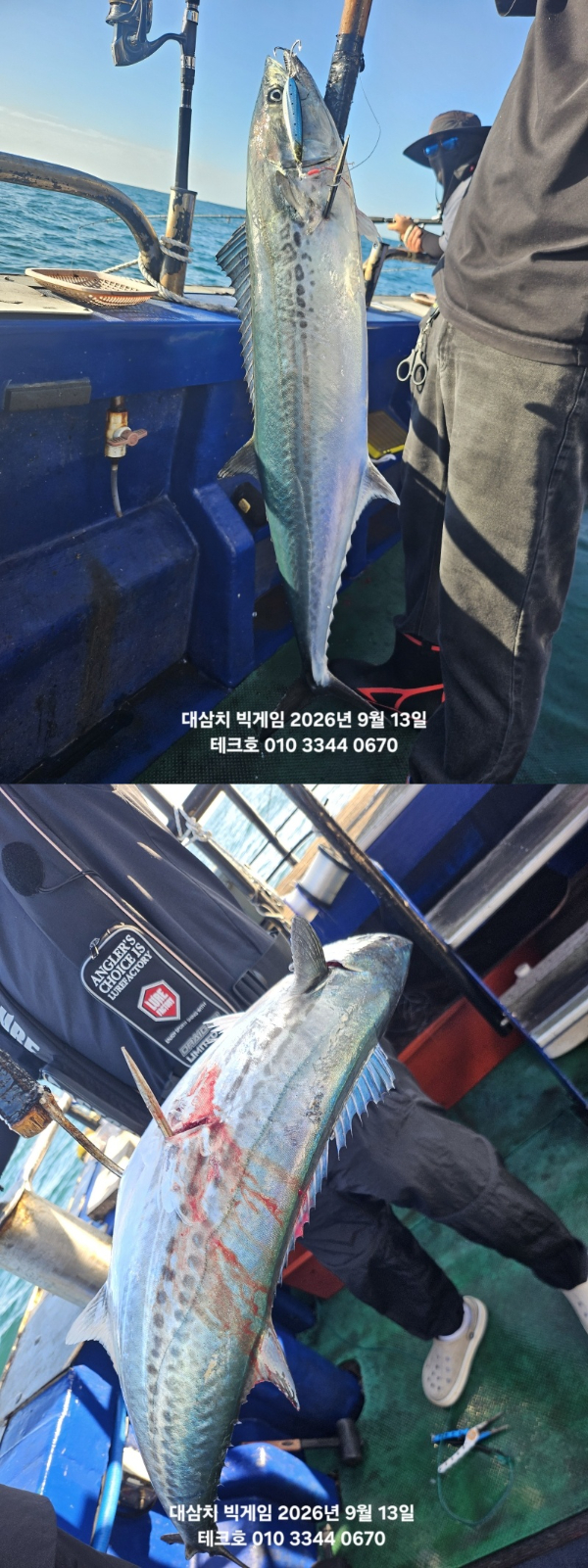 KakaoTalk_20260913_082428754_14-vert.jpg