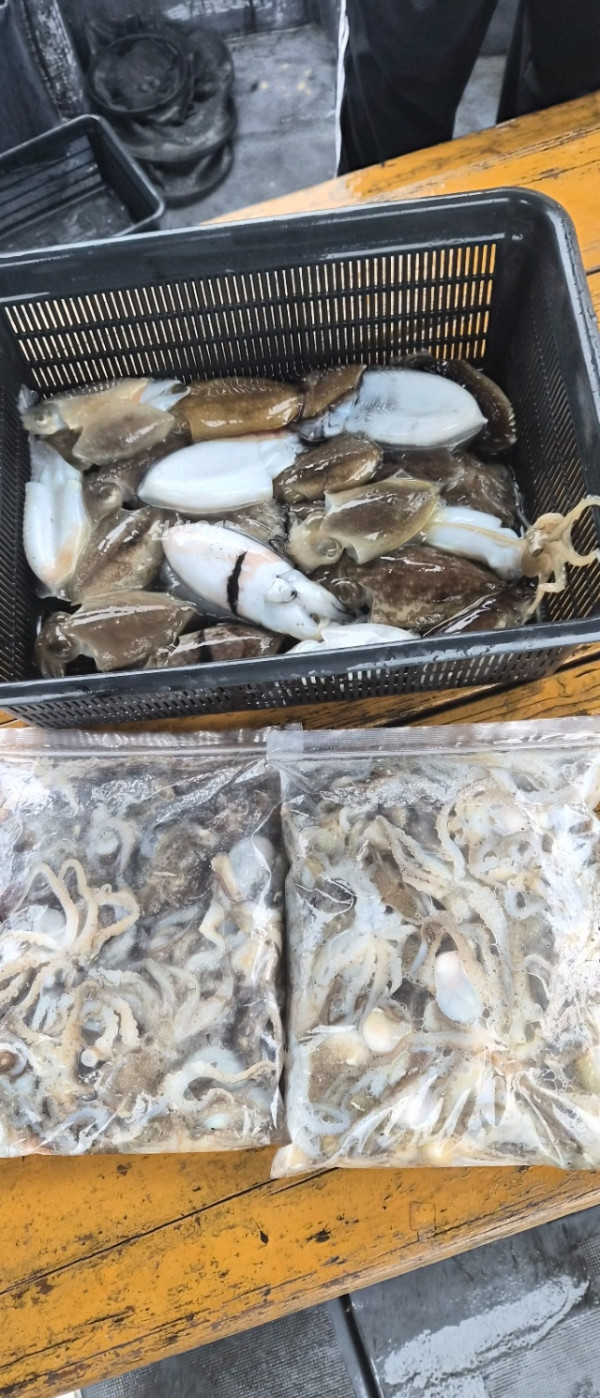 예지퀸호 농어외수질&어초낚시 경기인천권_사진_20260925_13.jpg
