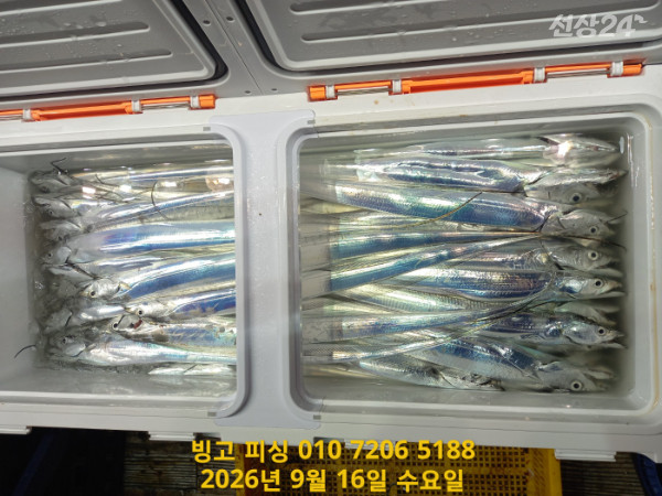 KakaoTalk_20260916_165029958_12.jpg