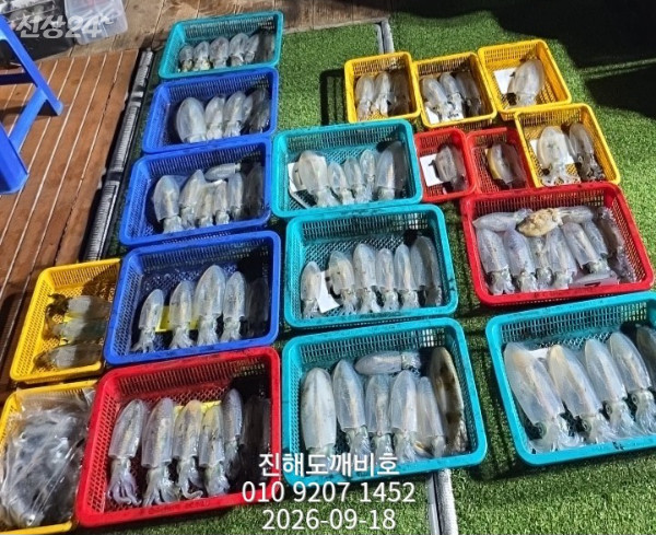 8151.jpg